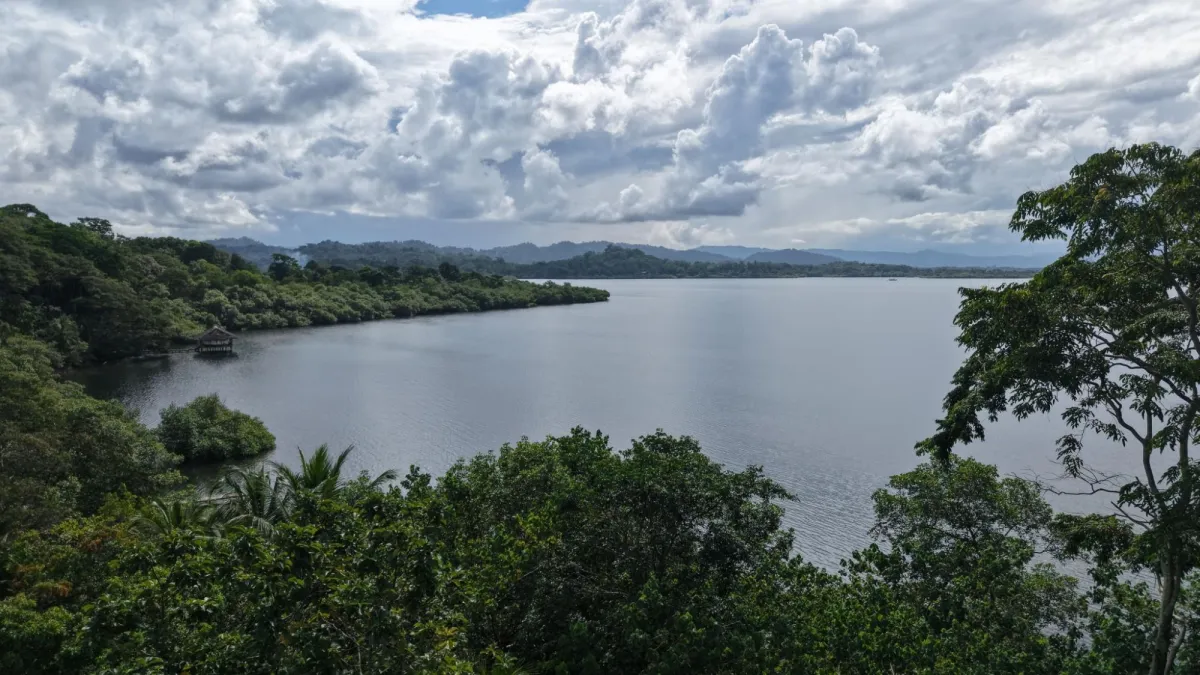 110 hectares of agricultural land facing the sea