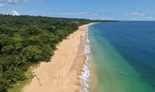 Titled Bluff Beach Rainforest Lot