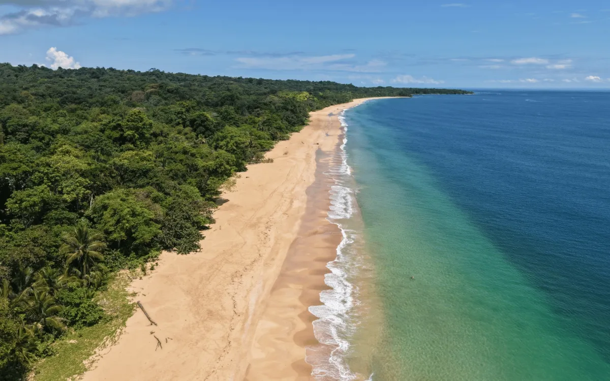 Titled Bluff Beach Rainforest Lot