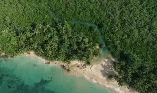 2.4Ha Forested Oceanfront Property in Drago
