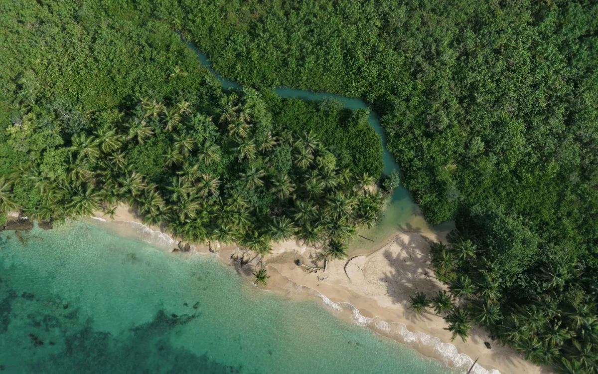 2.4Ha Forested Oceanfront Property in Drago