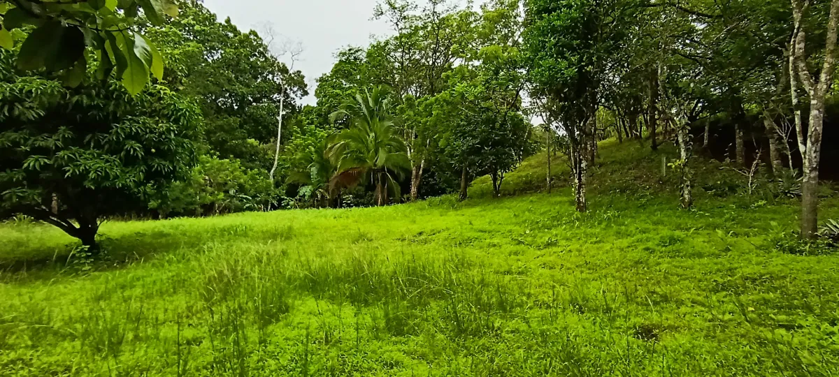 Venta de lote titulado en Bucaro, Tonosí – Los Santos