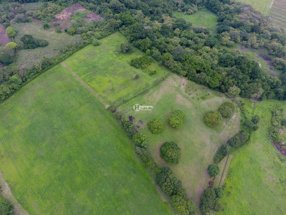 Se vende Finca de 5 hectareas en río hato, Coclé