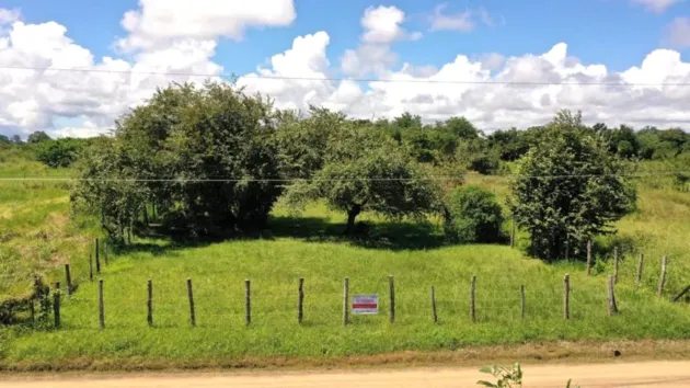 Sale of Beachfront Lot in Pedasí, El Toro Beach Road
