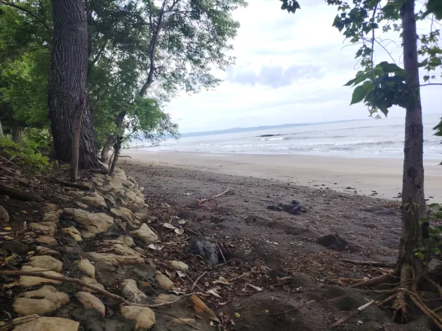 Beachfront Lot Sale in Playa Bucaro, Tonosí – Los Santos
