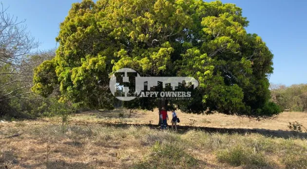 Se vende Finca de 12 hectáreas, Pocrí