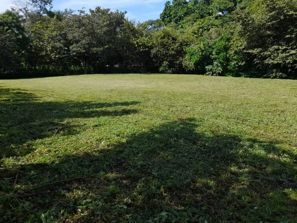Land Sale in Santa Clara, Río Hato