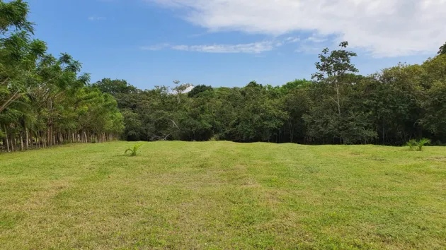 1 Hectare Property for Sale Near the Beach, Destiladeros, Pedasí