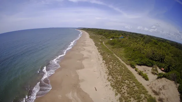Sale of Oceanfront Land in Pocri, Near Pedasí