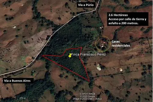 SELLING bargain property in Purio, Pedasi.