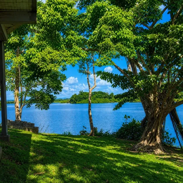 14.5 Hectare Lakefront Land on Gatun Lake, Arenosa