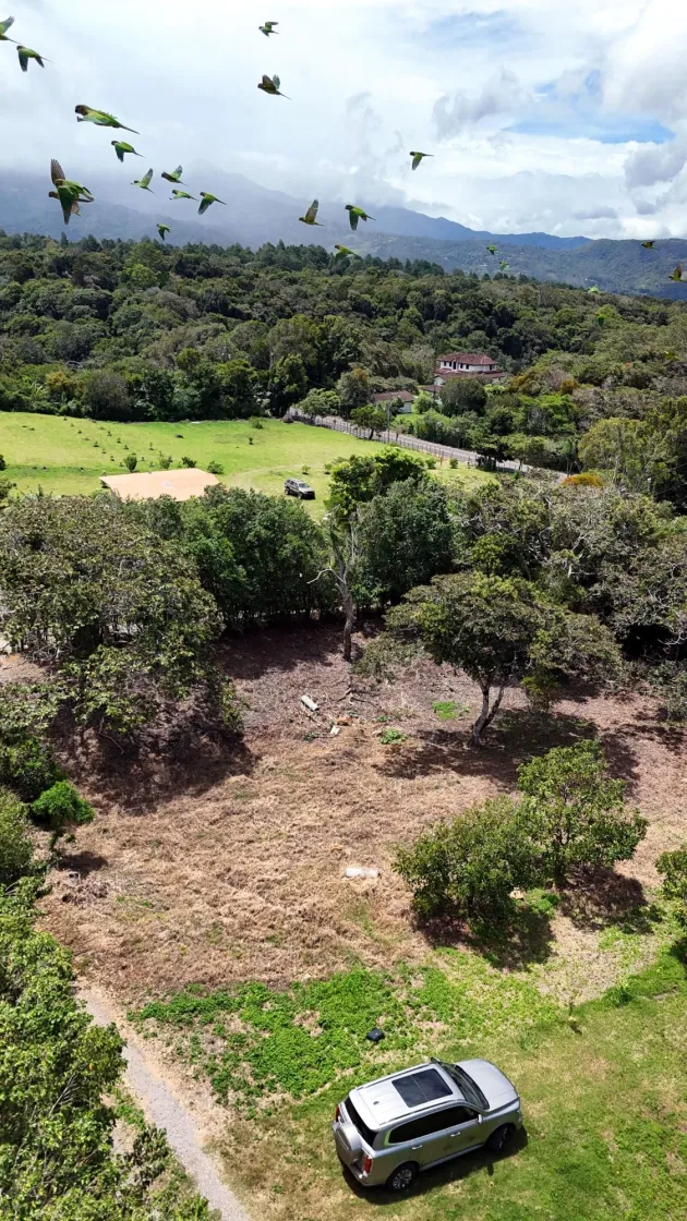 Terreno de 1,356 m² en Palmira, Boquete con vistas al Volcán Barú y al vall