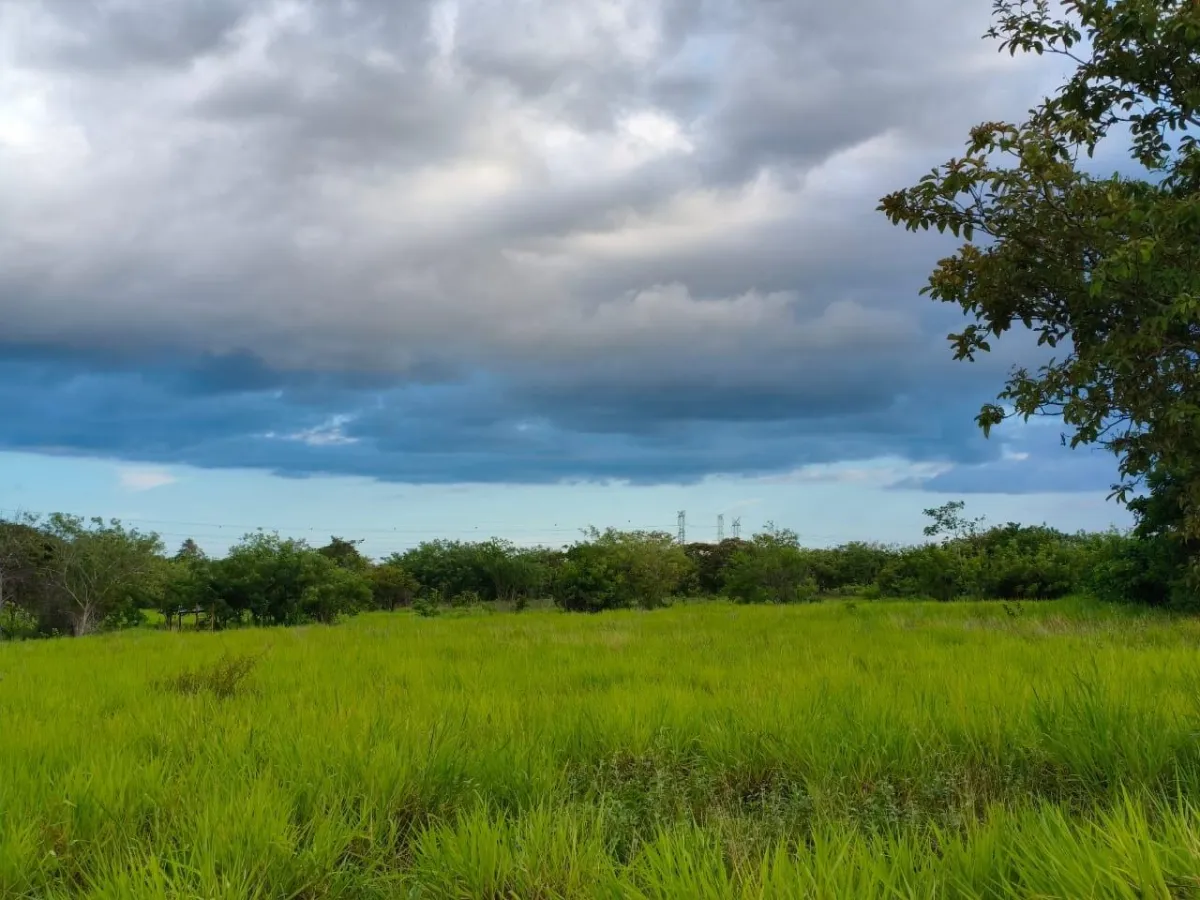 2.5 hectare plot of land for sale in El Retiro