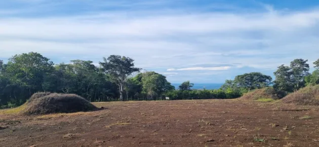 Terreno Plano con Vistas al Océano y al Volcán Barú.