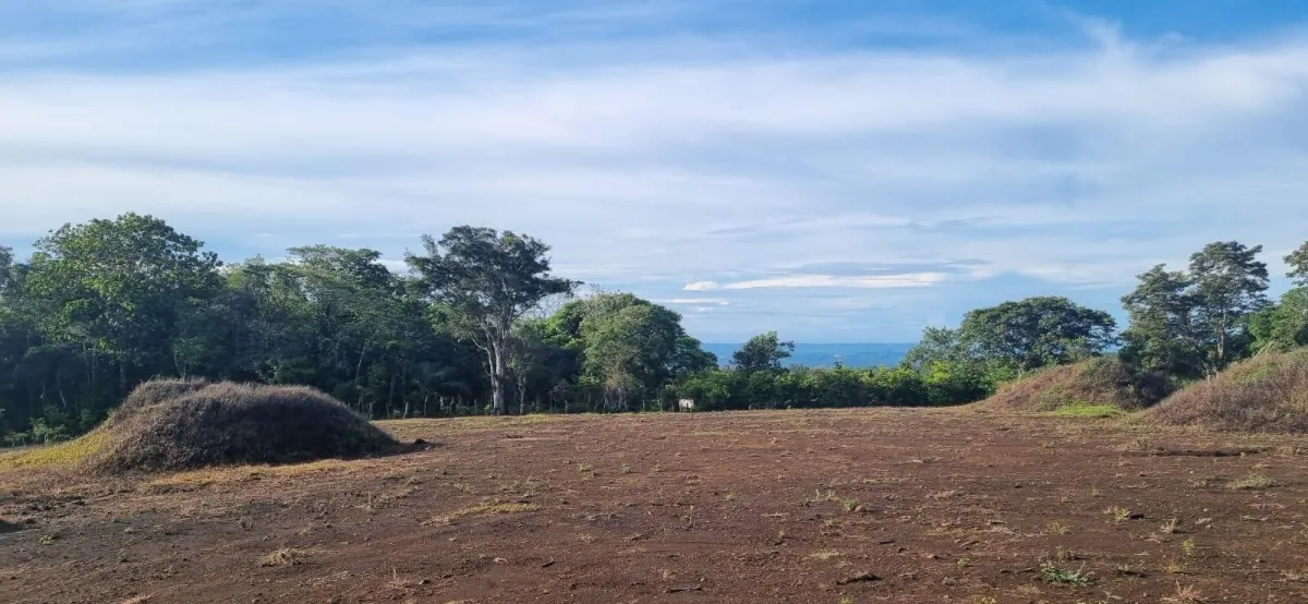 Terreno Plano con Vistas al Océano y al Volcán Barú.