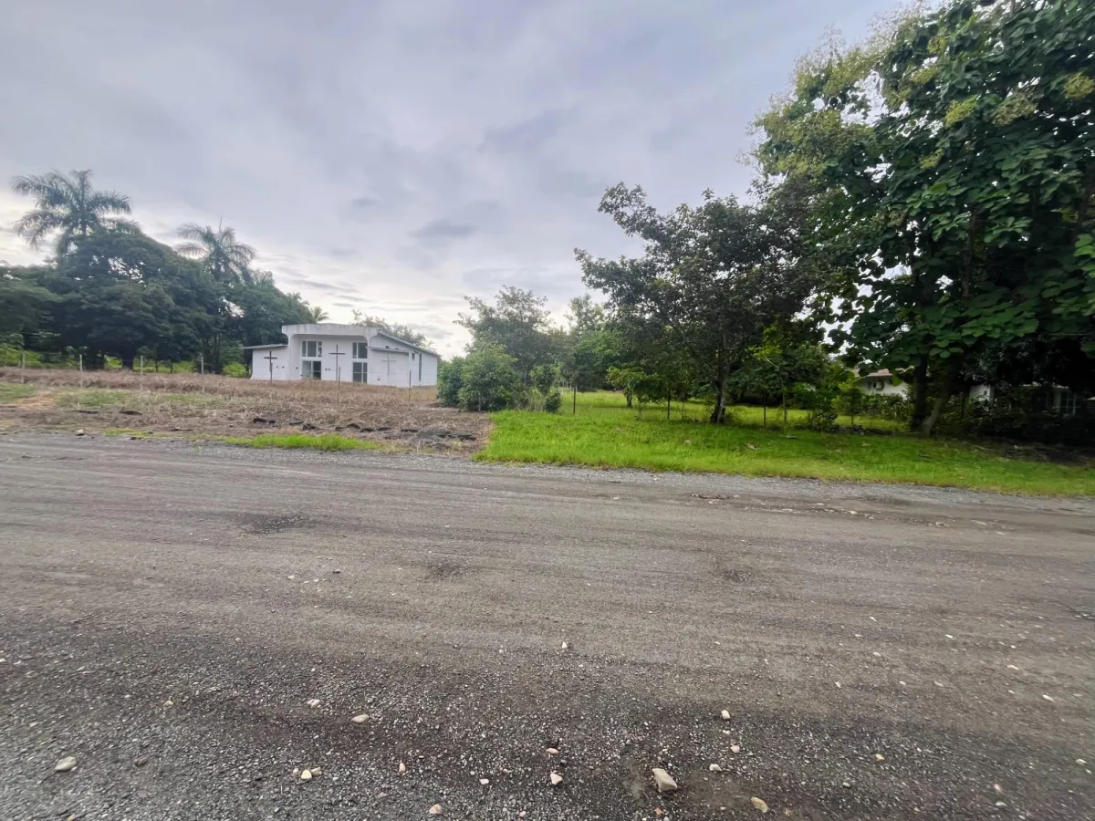 Sale of 3 lots in Santa Clara Beach Area