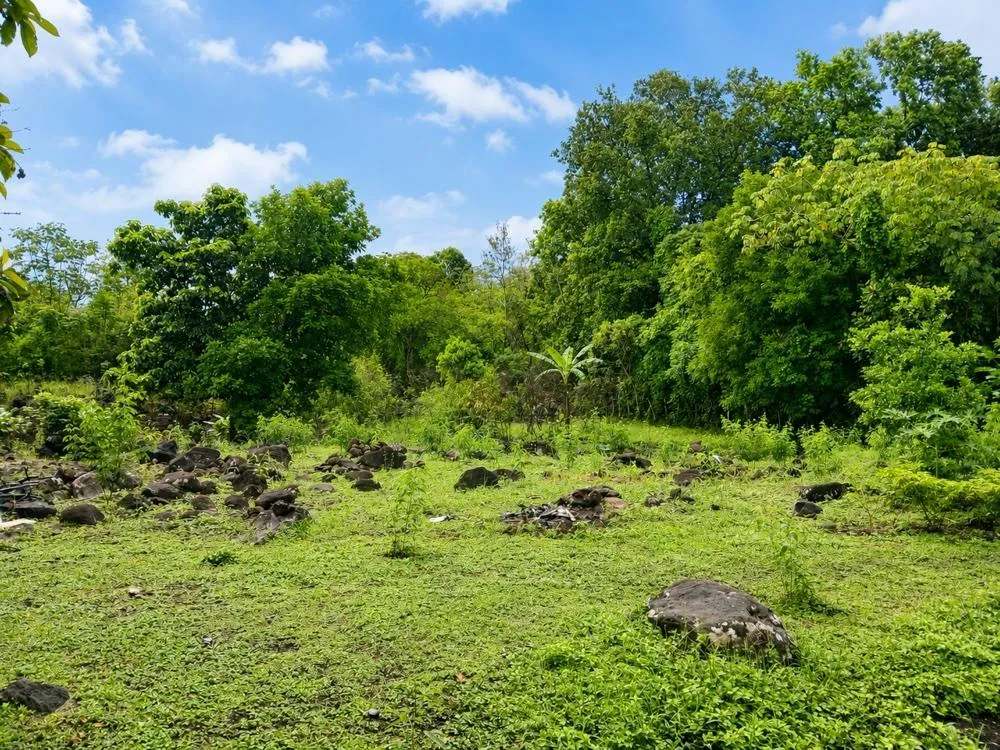 Lote Plano de 5,760 m² en Venta en El Francés, Boquete