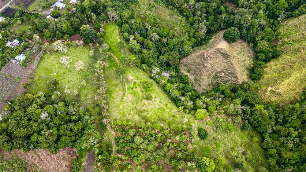 Coffee Estate Farm for Sale in Potrerillos Arriba