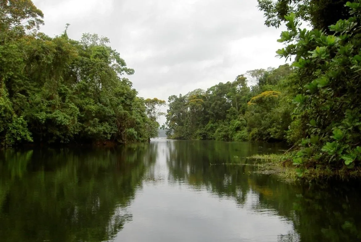 Farm for sale on the shores of Lake Gatún, Colón