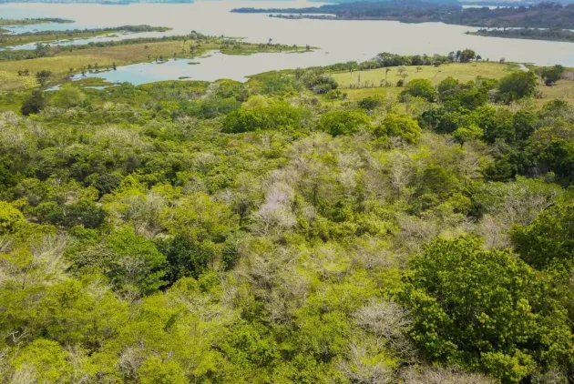 Extenso Terreno en La Mendoza, Chorrera