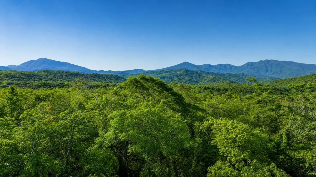 Terreno de 1 Hectárea en venta en Bijagual, Gualaca