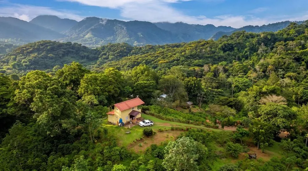 Finca de Café en Venta en El Cascajal, La Pintada