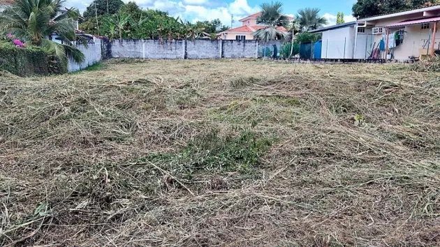 Terreno en Coronado, Los Bosques