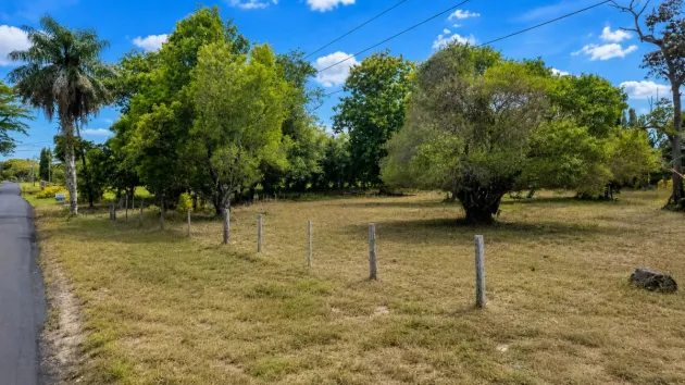 Terreno residencial en venta en La Perla, David
