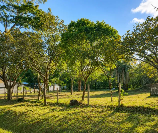 Terreno plano de 9.445 m² en calle pavimentada en venta en Caldera