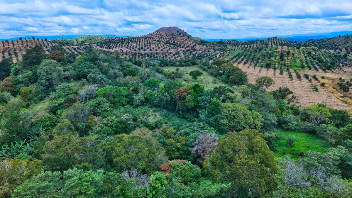 55.74 Hectares of Paradise in the Mountains