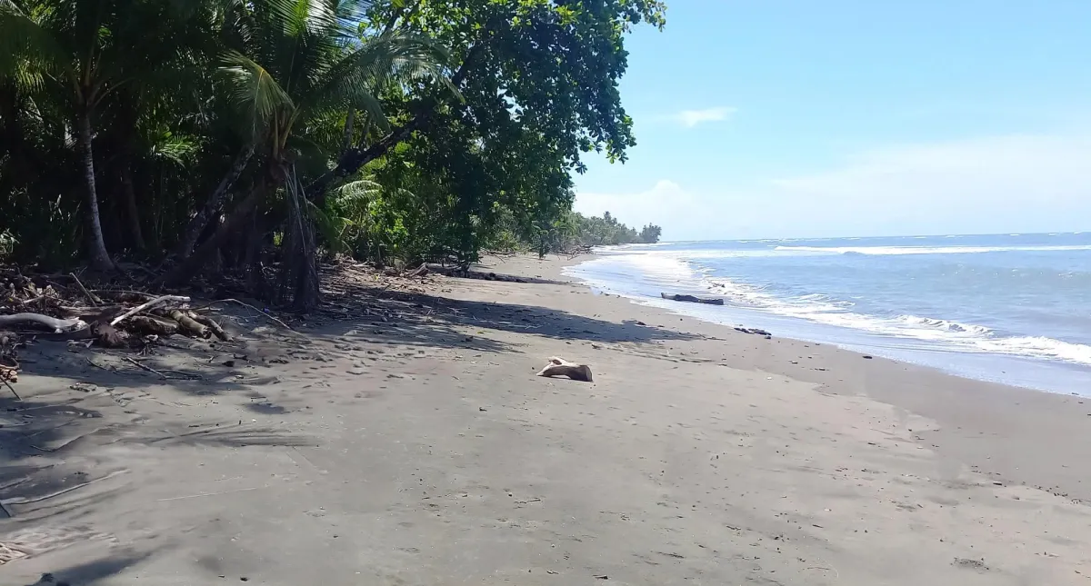 Terreno frente al mar en Puerto Armuelles Panamá