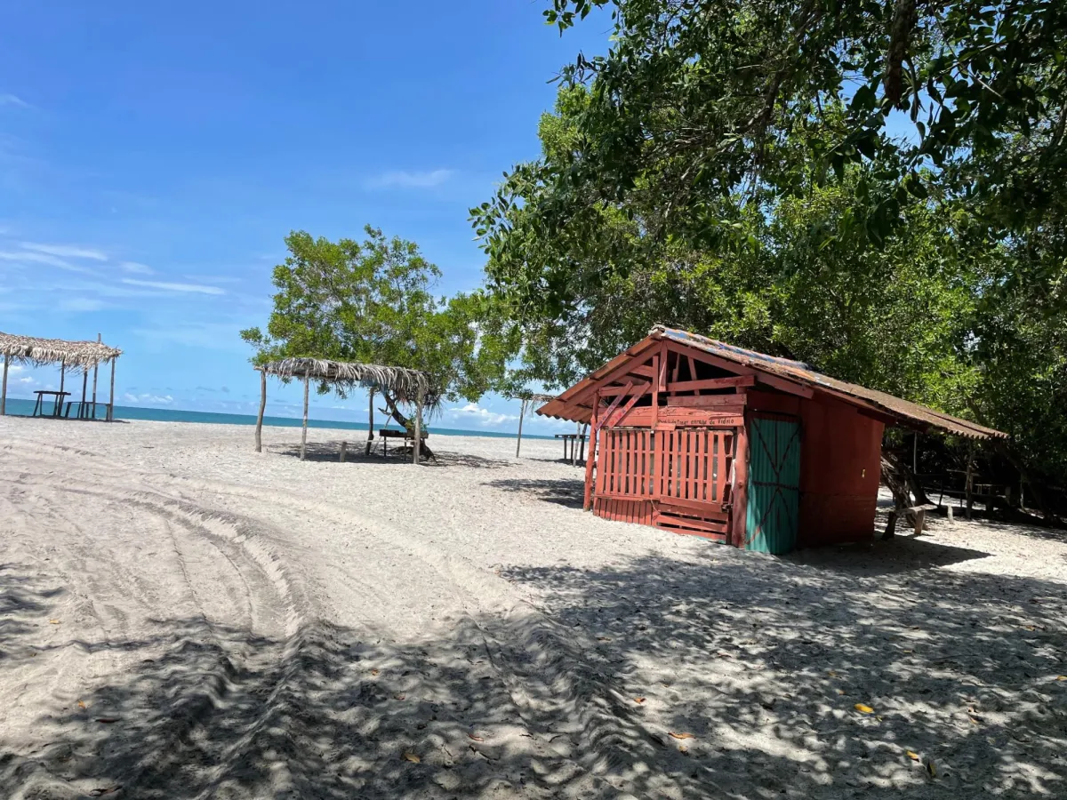 LAND FOR SALE ON SEA CLIFF BEACH, RIO HATO