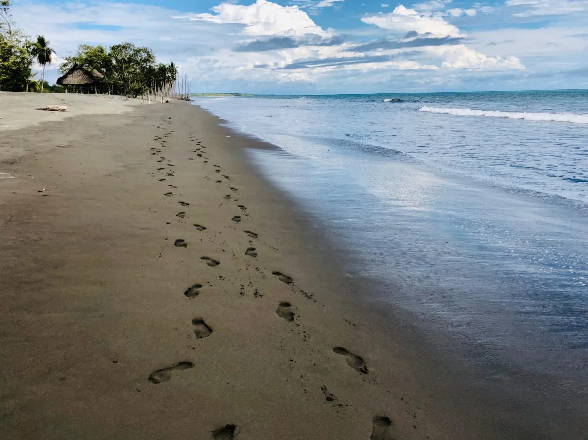 Bienes Raíces en Coco Beach en Puerto Armuelles Panamá