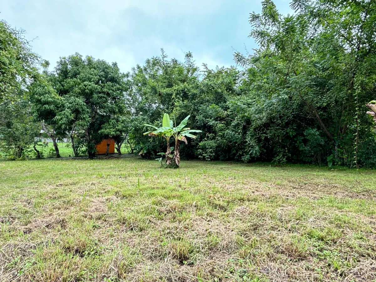 Land in El Valle, Hacienda Villa Catalina.