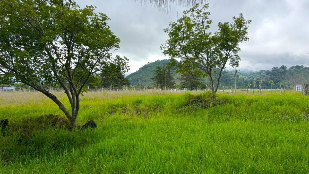 Lot with Beautiful Views in Volcán