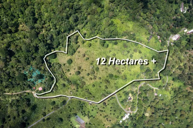 Finca de Café de Más de 12 Ha en Boquete