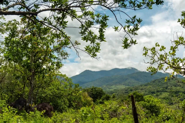 Caldera Cerca De Boquete Tierra De Panamá