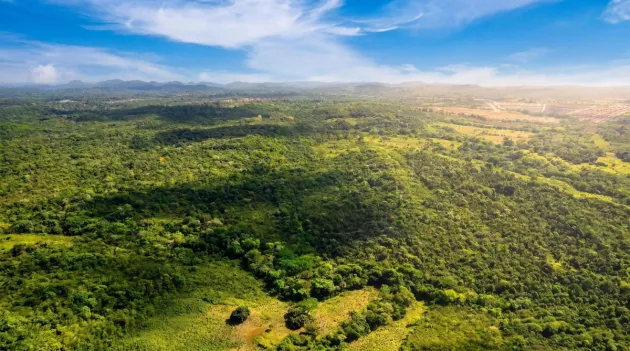 Terreno de 9,4 hectáreas en venta en Arraijan Central