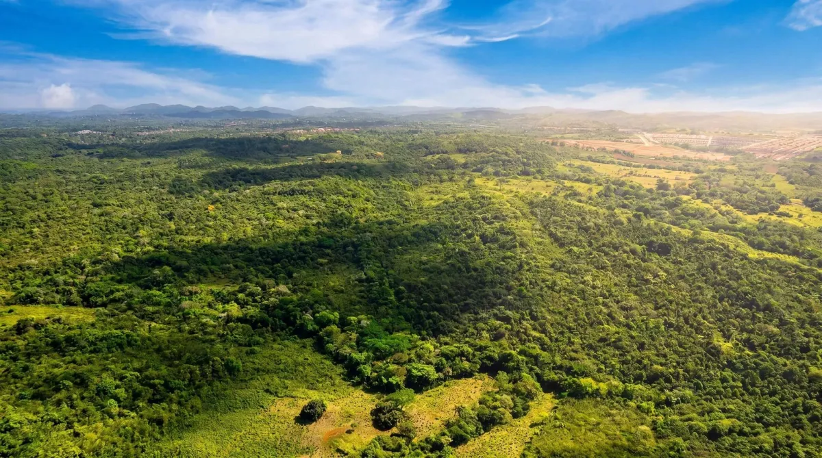 Terreno de 9,4 hectáreas en venta en Arraijan Central
