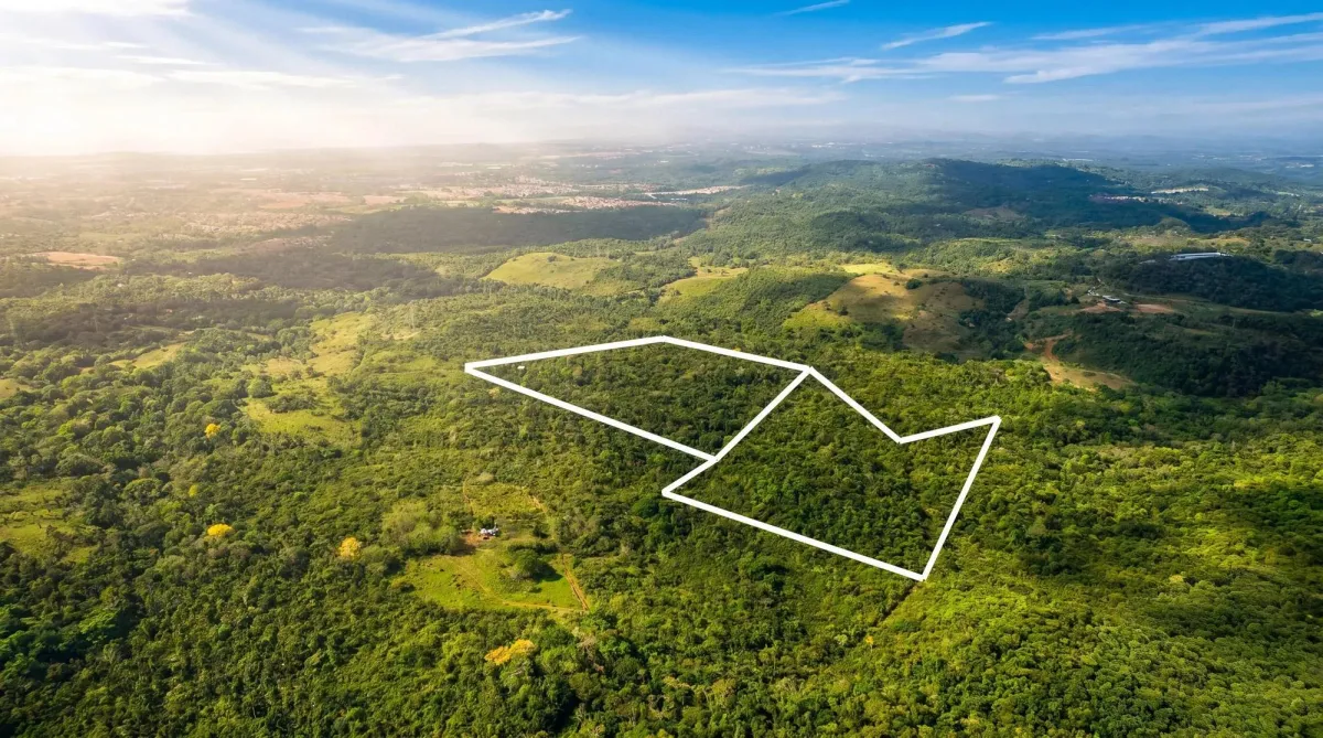 Terreno de 9,4 hectáreas en venta en Arraijan Central