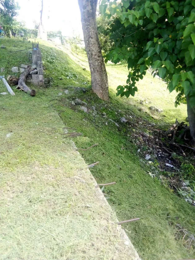 Lotes de Terreno en venta – Residencial El Bosque, San Miguelito