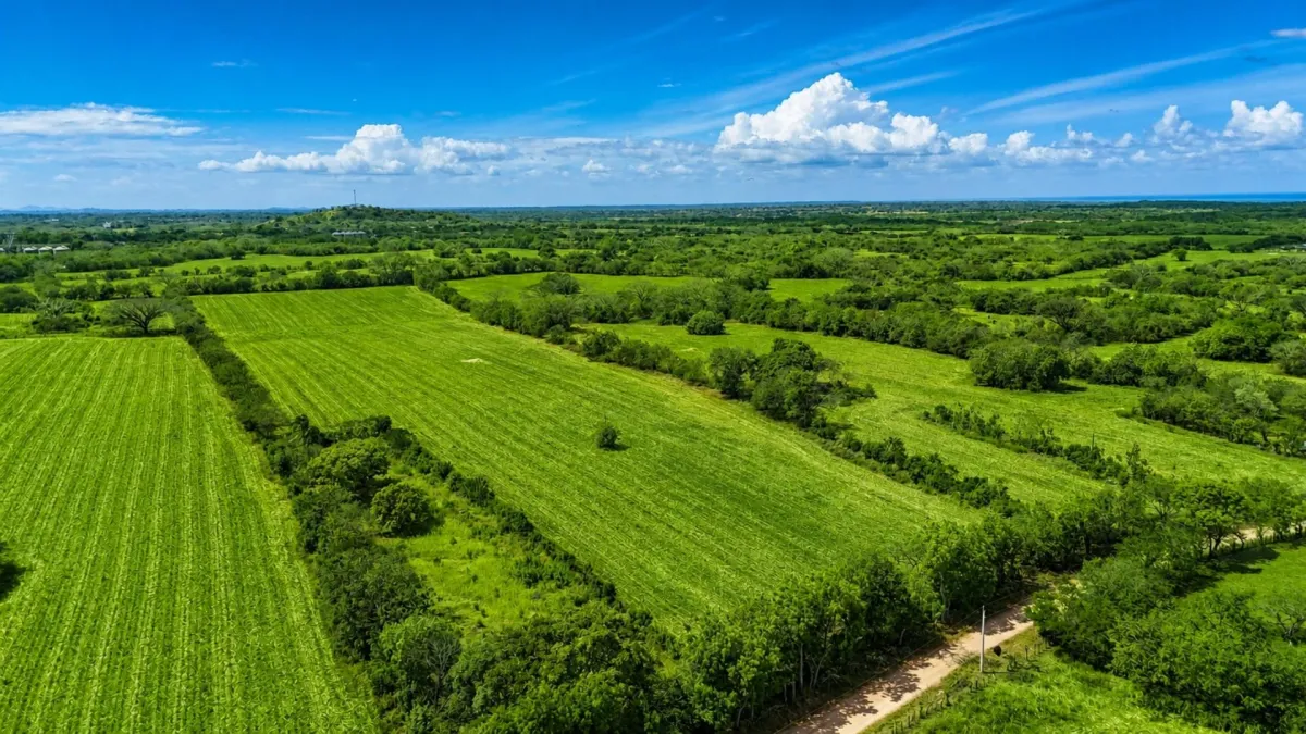 Se vende una Extensa Finca llana cerca de Las Tablas