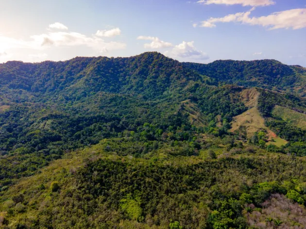 Beautiful Farm in Quebrada Bonita Colón
