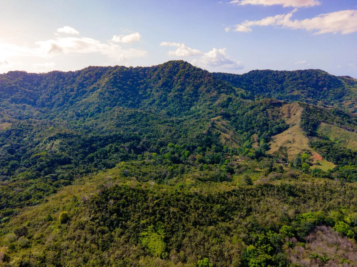 Beautiful Farm in Quebrada Bonita Colón