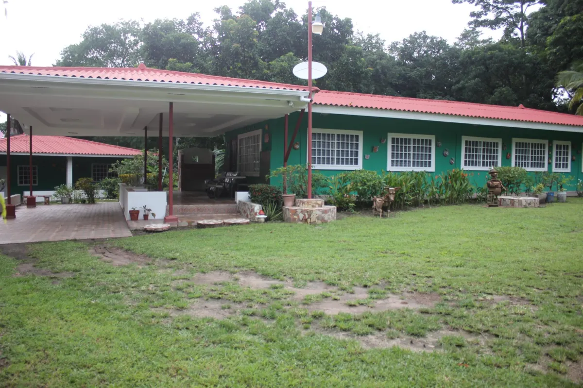GORGONA HOUSE FOR RENT