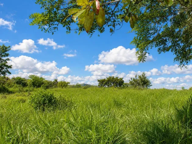 16,113 m² Land with Creek & Mountain Views, Dolega