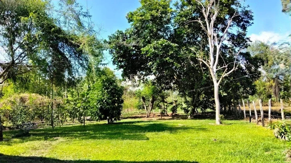 Large plot of land with a small house in Boquerón