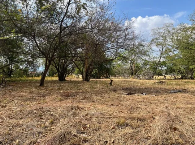 Terreno en Venta en Coronado, Club de Golf