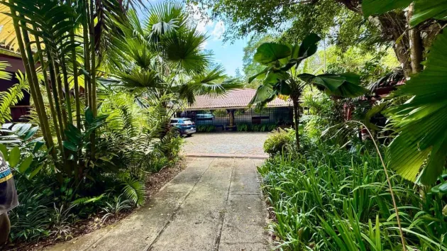 2.2 HA IN CERMEÑO WITH EXCELLENT LOCATION