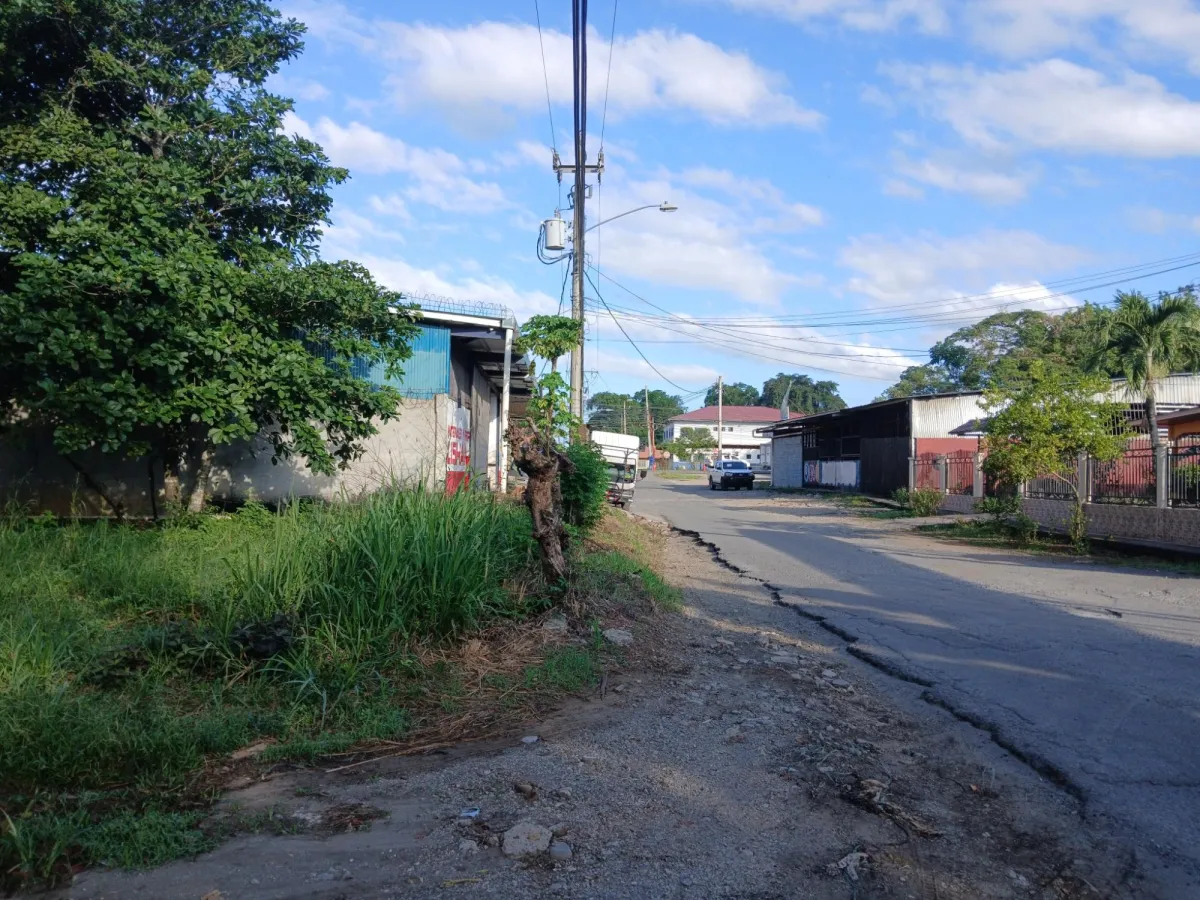Terreno Plano en Venta en Dolega, Chiriquí – 1.330,80 m²